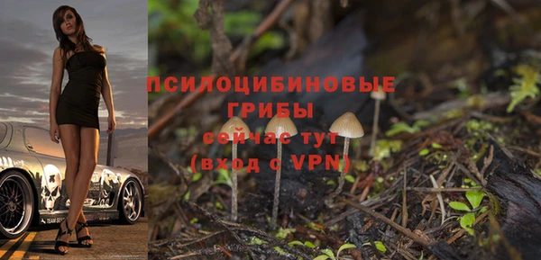 синтетический гашиш Новодвинск