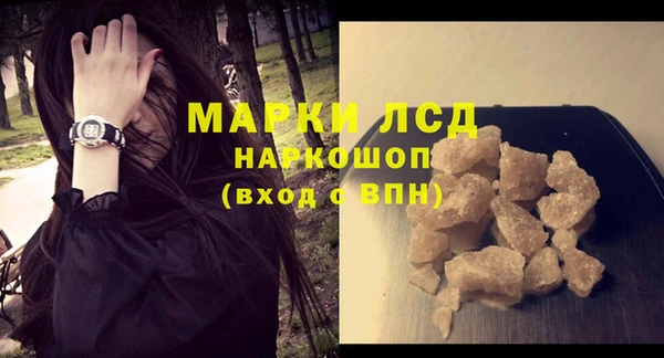 таблы Новозыбков