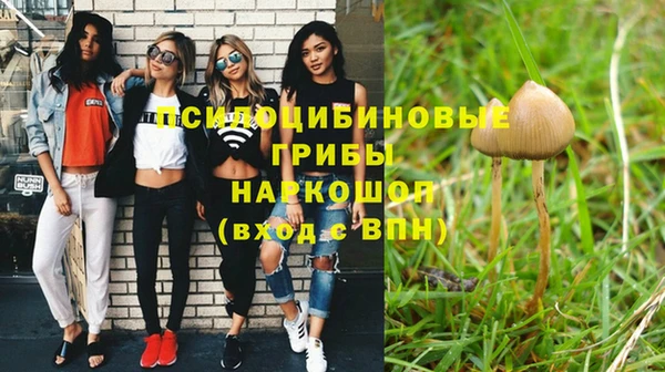 таблы Новозыбков