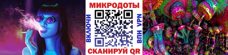 Купить где  Томмот  Галлюциногенные грибы мицелий 